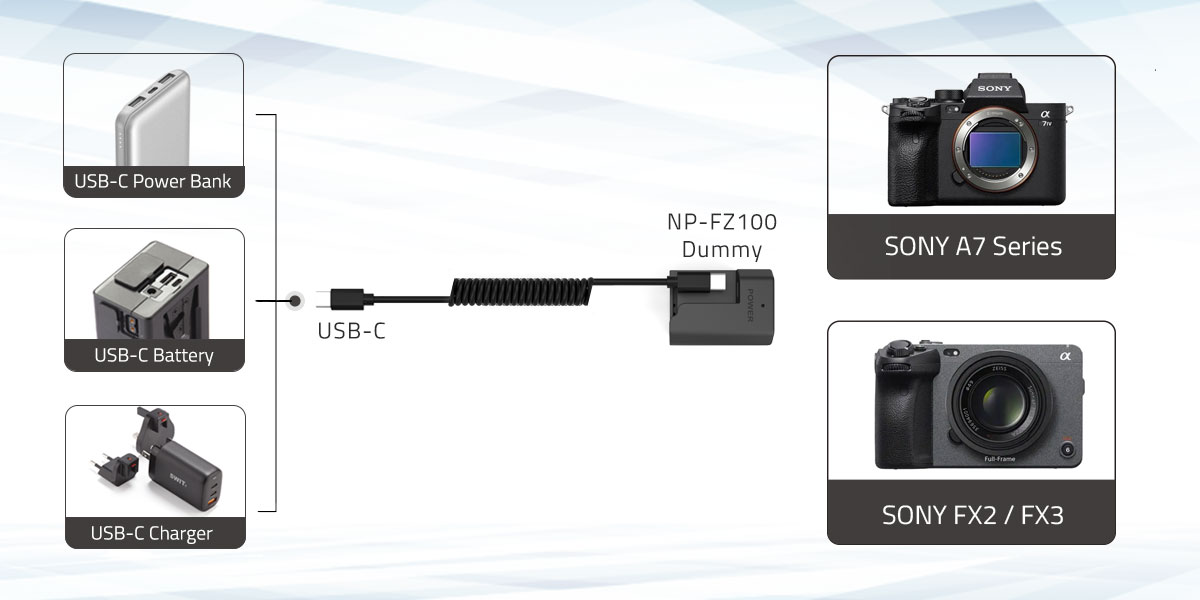 DB-FZ100 Connection Diagram